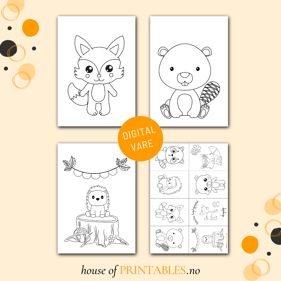 Bitteliten fargeleggingsbok - Skogsdyr