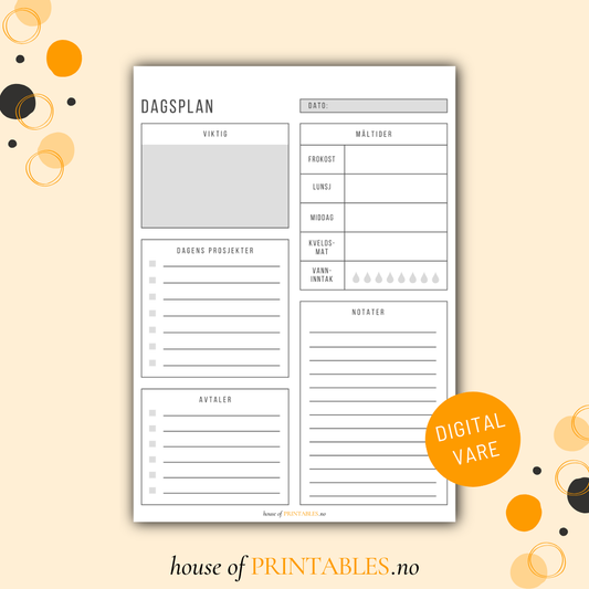 Organisering - Dagsplan