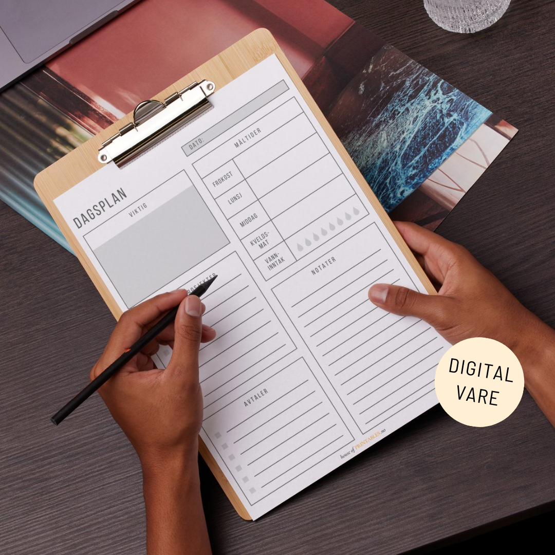 Organisering - Dagsplan