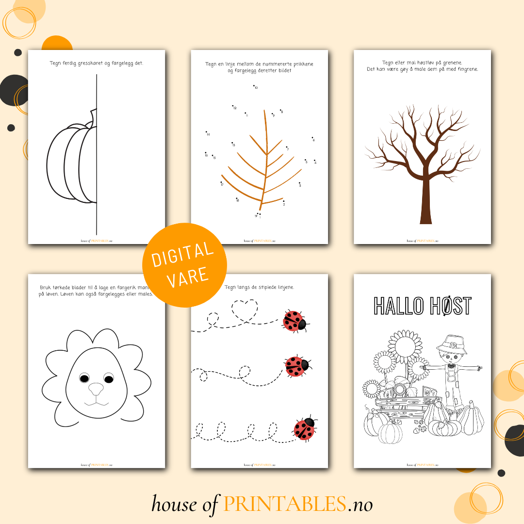 Aktivitetshefte - Høst