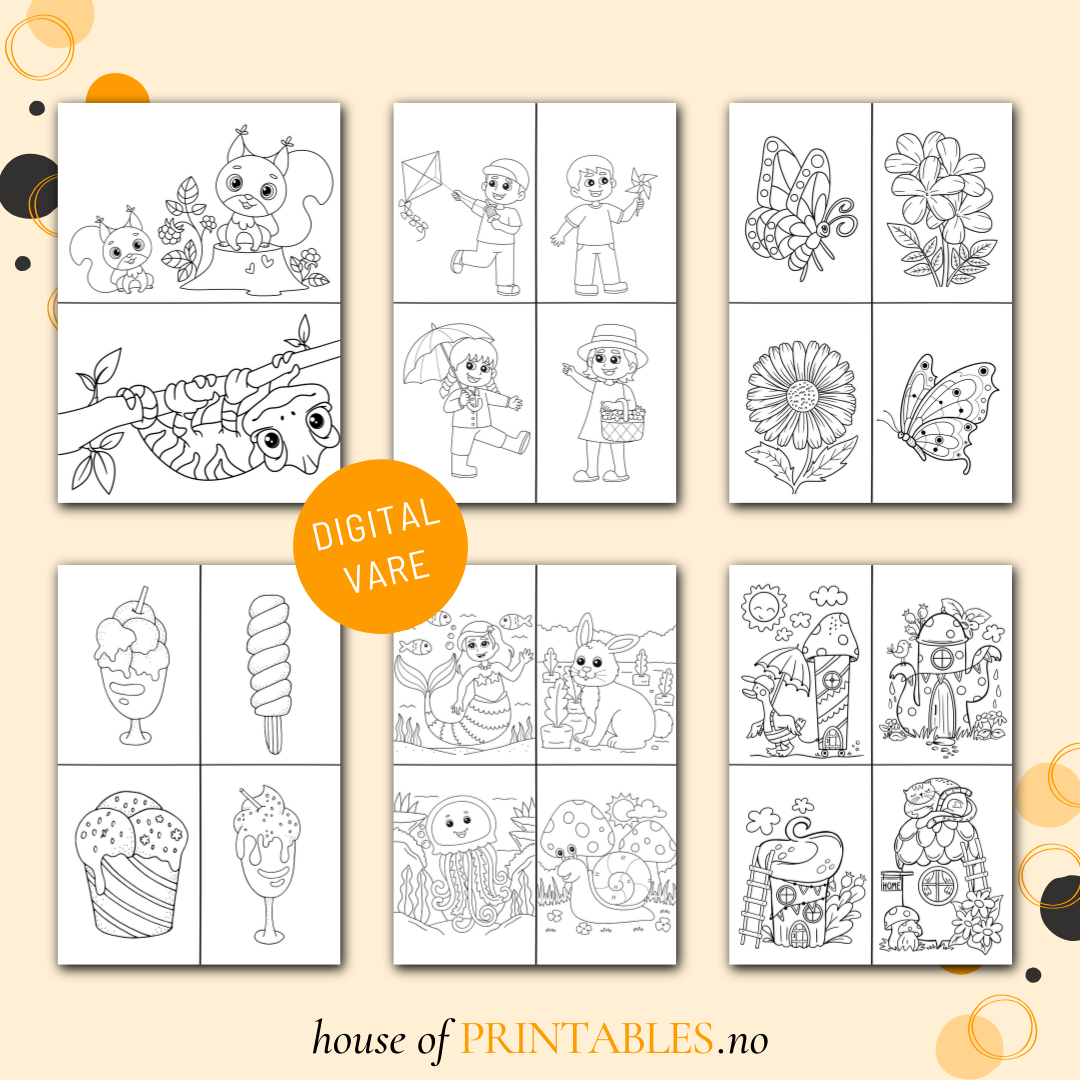 Aktivitetshefte - Sommer